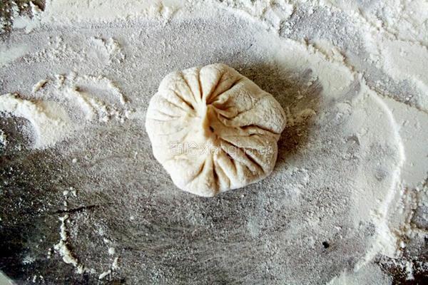 梅干菜五花肉饼的做法图解9
