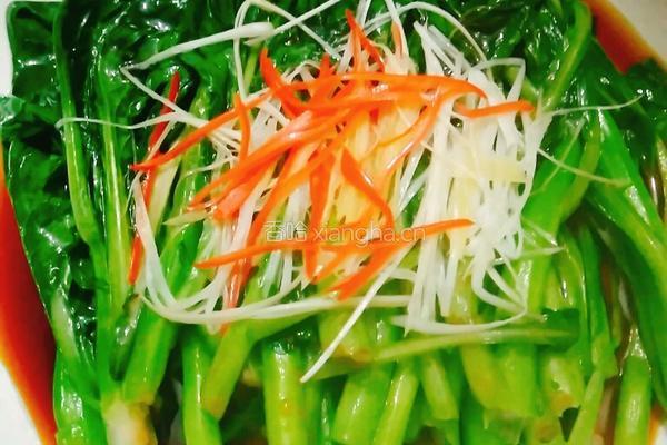 白灼菜心