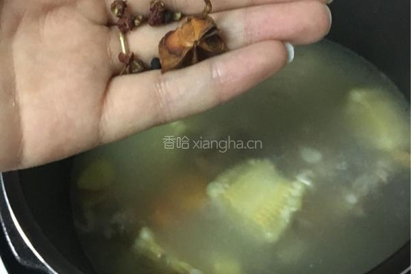 营养玉米排骨汤的做法图解6