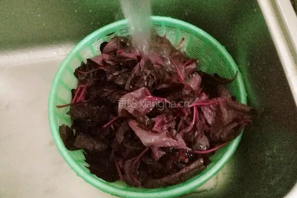 蒜蓉寒菜的做法图解4
