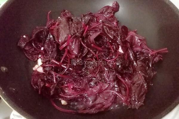 蒜蓉寒菜的做法图解6