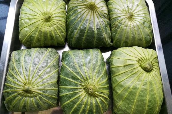 荷叶糯米鸡的做法图解11