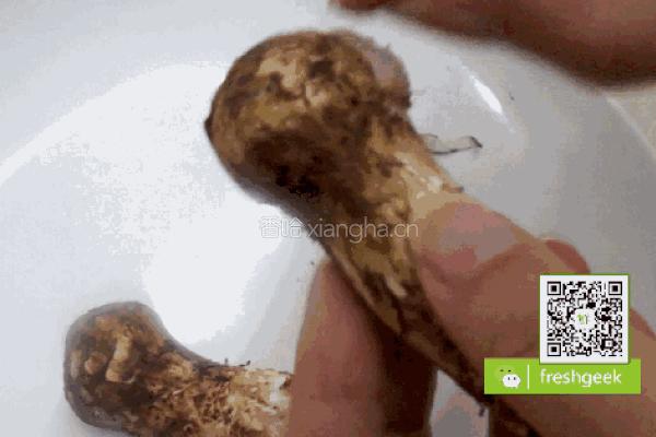 黄油煎松茸&云腿蒸松茸的做法图解1