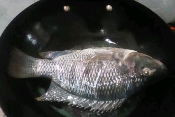 红烧鳊鱼的做法图解4