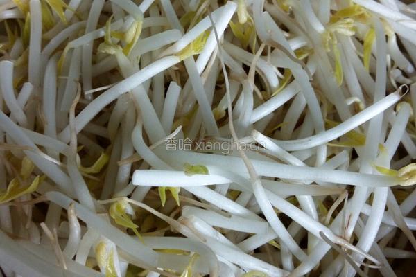 家庭版水煮鱼的做法图解4