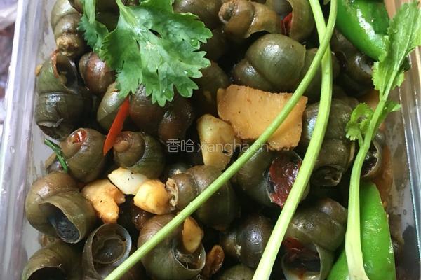 客家炒田螺的做法图解4
