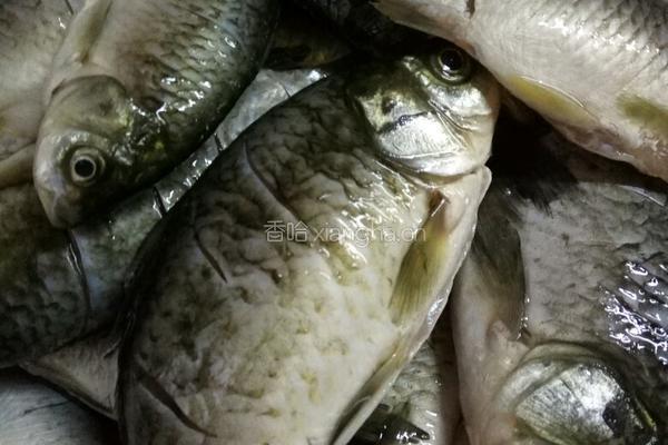油炸鲫鱼的做法图解1