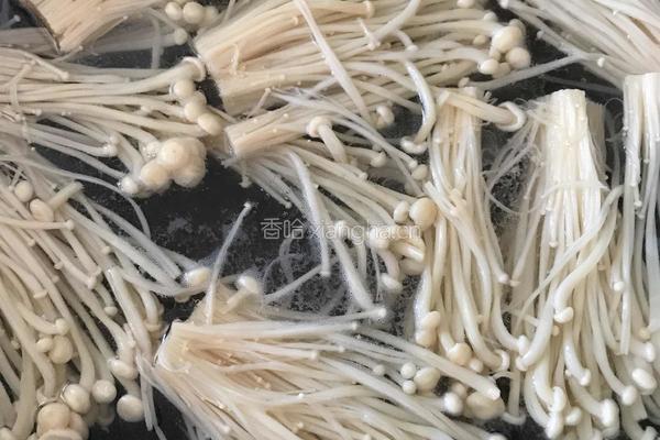 火腿金针菇的做法图解1