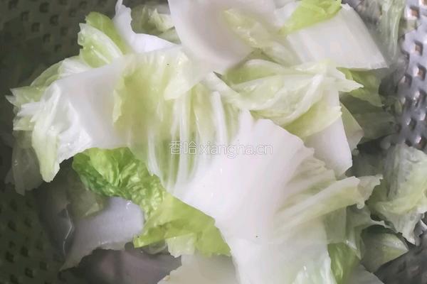 白菜炖豆腐的做法图解3