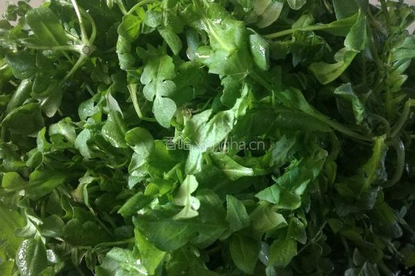 荠菜馄饨的做法图解1