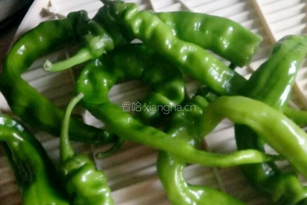 青辣椒酱的做法图解1