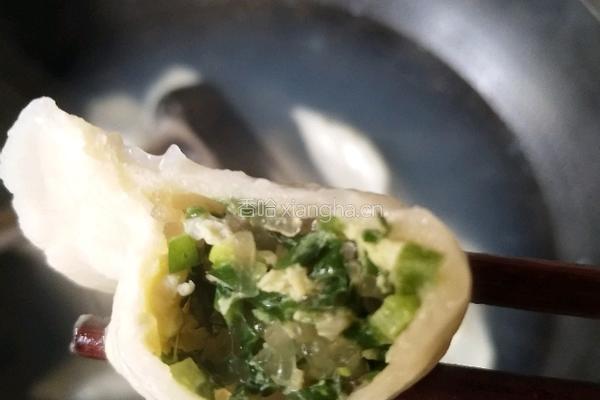 韭菜粉丝鸡蛋瘦肉饺子的做法图解9