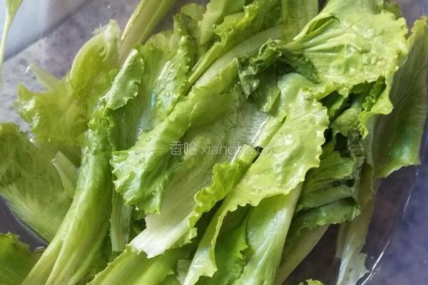 生菜豆皮卷的做法图解1