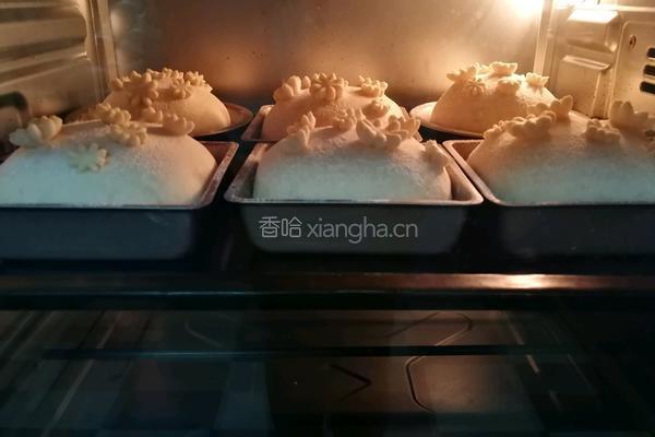 全麦面包的做法图解8