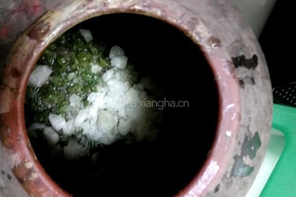 自酿葡萄酒的做法图解4