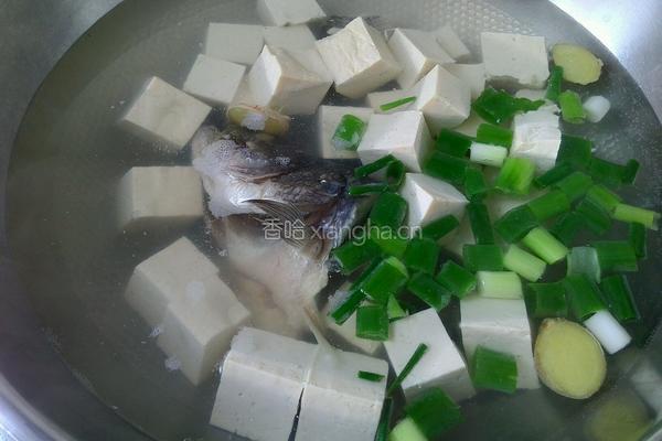 鲈鱼豆腐汤的做法图解4