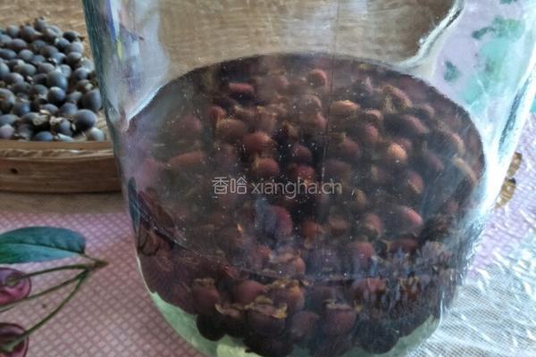 捻子酒的做法图解2