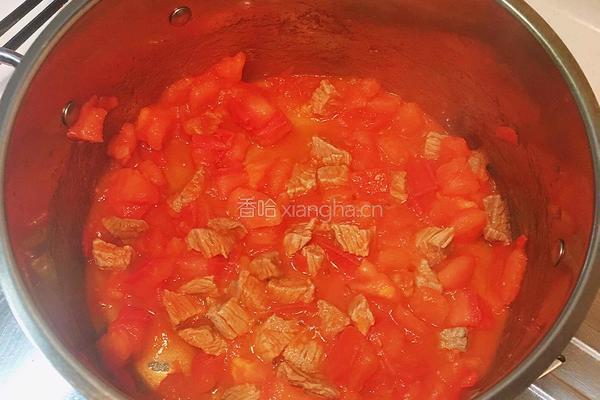 番茄土豆焖牛肉的做法图解4