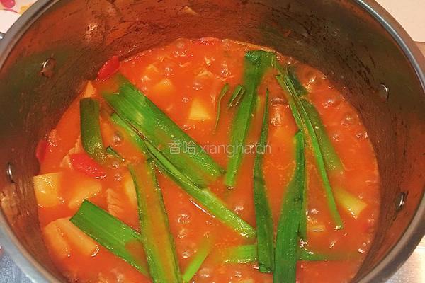 番茄土豆焖牛肉的做法图解11