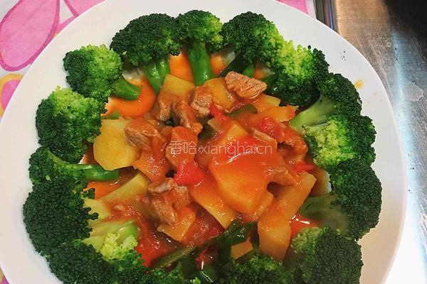 番茄土豆焖牛肉的做法图解16