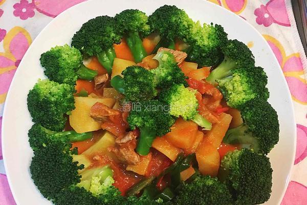 番茄土豆焖牛肉的做法图解17