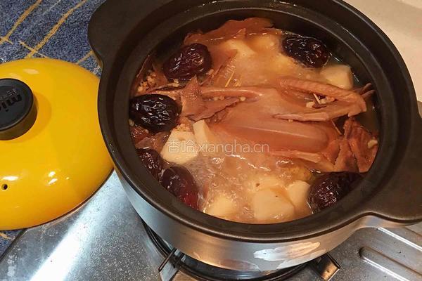 花旗参鸽子老火靓汤的做法图解9