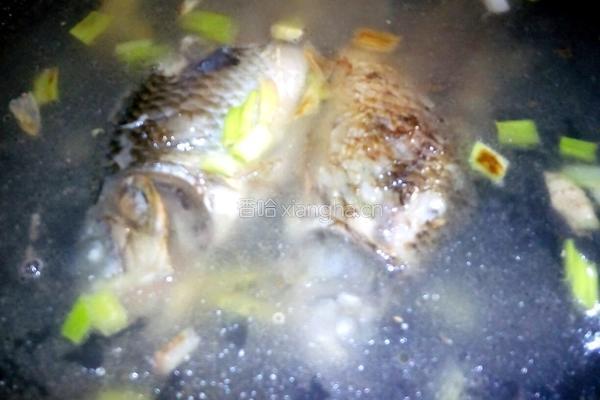 鲫鱼豆腐汤的做法图解7