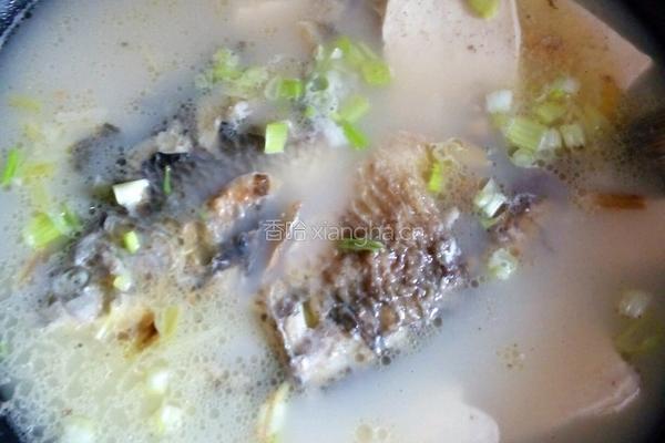 鲫鱼豆腐汤的做法图解9