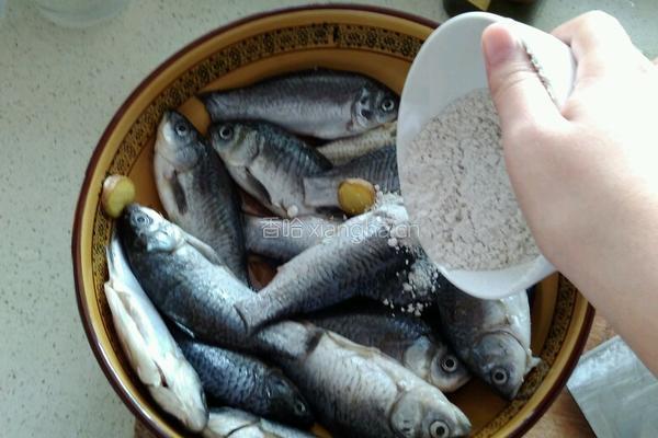 香脆煎小鱼的做法图解2