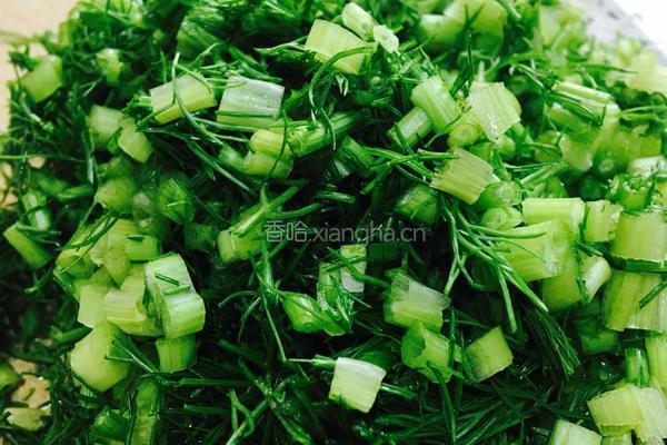 茴香大馅饺的做法图解2