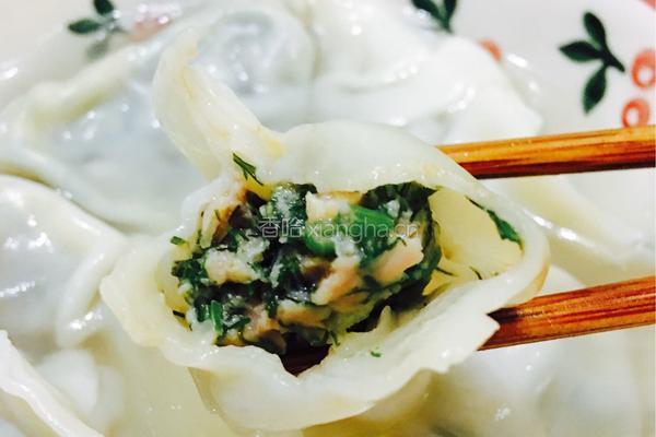 茴香大馅饺的做法图解10