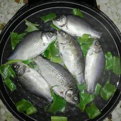 电饼铛葱叶烤小鱼的做法[图]