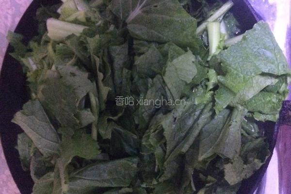 长时间储存小白菜方法的做法图解3