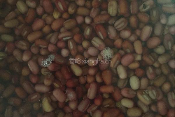 红豆沙的做法图解1