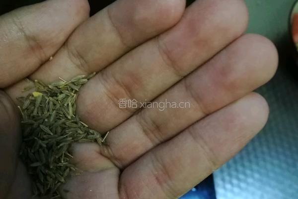 干豆腐炒亲亲肠的做法图解7