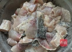 酸菜鱼的做法图解3