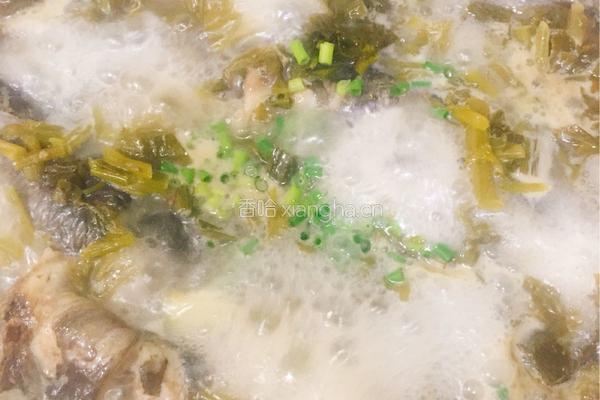 雪白黄刺鱼汤的做法图解7