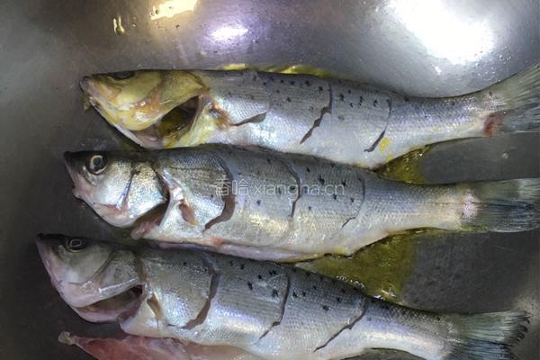 黄豆酱海鲈鱼的做法图解3
