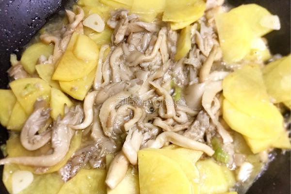 辣炒蘑菇土豆片的做法图解8