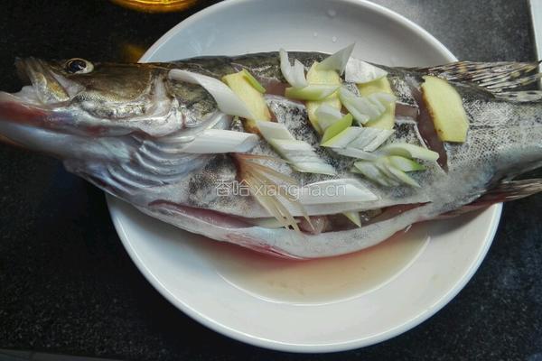 清蒸桂鱼的做法图解1