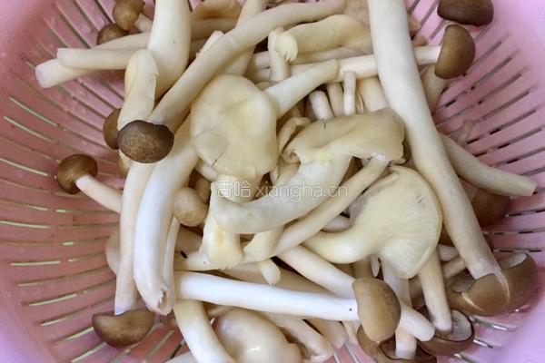 五花肉菌菇汤的做法图解1