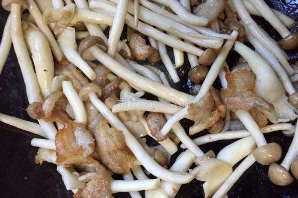 五花肉菌菇汤的做法图解6