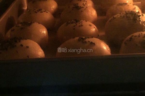 鲜肉月饼的做法图解21