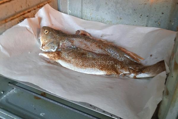 烤鱼烤鱼烤鱼的做法图解7