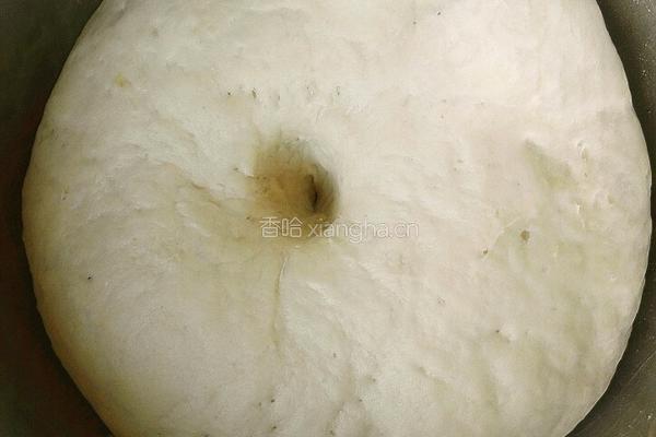 生煎汤包的做法图解17