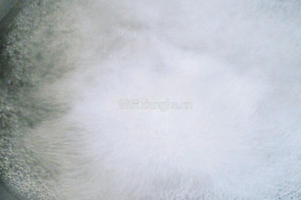 水煮汤圆的做法图解1