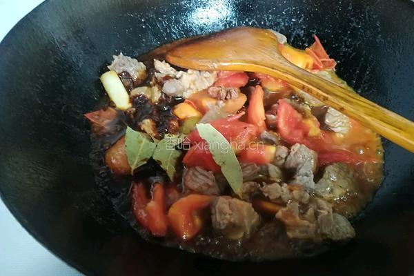 西红柿牛腩的做法图解7