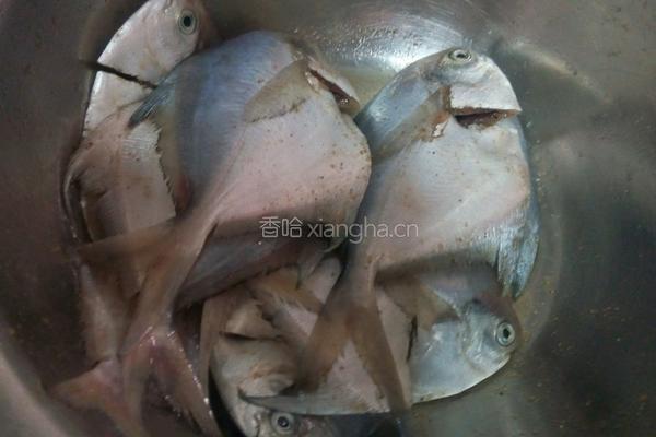 油煎昌鱼的做法图解1