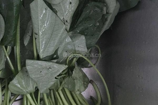 清炒红薯茎叶的做法图解1
