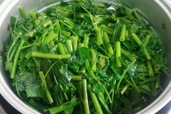 凉拌空心菜的做法图解7